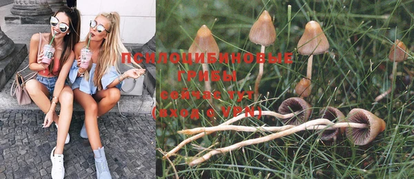 спайс Вязьма