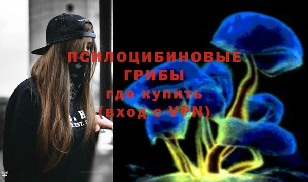 сатива Вяземский