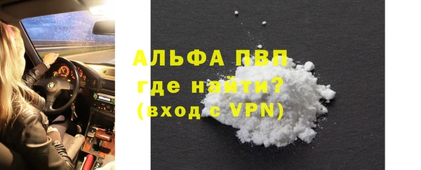 сатива Вяземский