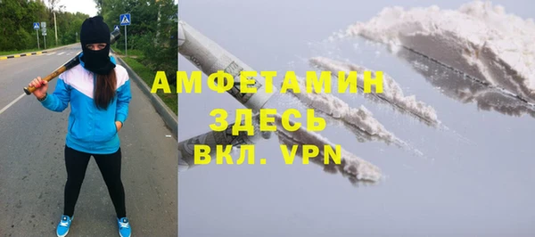 сатива Вяземский