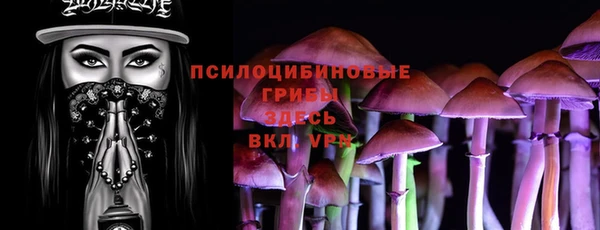 спайс Вязьма