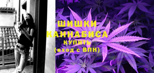 сатива Вяземский